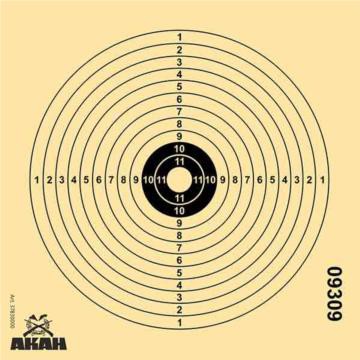 Cible carton 14x14cm Air Rifle AKAH